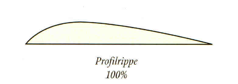 Flügelschablone